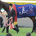 2010中央競馬（関西）