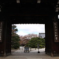 2010-04-17 仁和寺