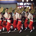 高円寺阿波踊り　2009