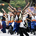 パワフル - 良い世さ来い2010 新横黒船祭
