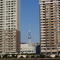 東京 α2011 - 11