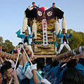 20081018　新居浜太鼓祭り（八旛神社宮入）