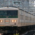 「鉄道写真」ＪＲ東日本１８５系