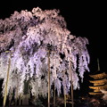 京都の旅 2013年3月