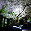 200904桜