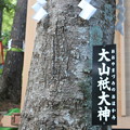 20120821 新屋山神社