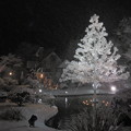 2013年-クリスマスツリー・ライトアップ・キャンドル等