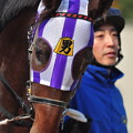 2013年11月24日京都競馬場（2歳新馬戦）