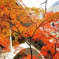 2013年_奥多摩・御岳渓谷の紅葉