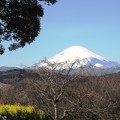 2011年_吾妻山と富士山