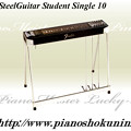 Fender SteelGuitar Student Single 10