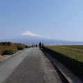 さわやかウォーキング 岩本山と富士緑道