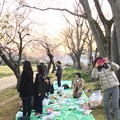 2016 お花見＠熊本城二の丸広場