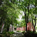 神社：福岡―天開稲荷神社
