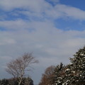 12月のここらの雪景色 / 北海道