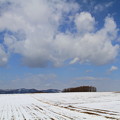 美瑛の春の雪3 / 北海道