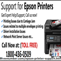 Epson printer Support Number (Toll Free)