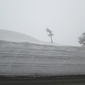 八幡平の雪の壁