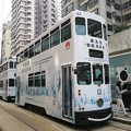 香港電車Archive 19