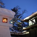 20200210_第44回 弘前城雪燈籠まつり
