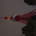 七夕の東京タワー