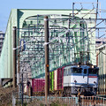 常磐線を走る列車たち 江戸川橋梁にて 2022年冬