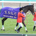 2010年中央競馬（関東）