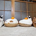 猫ブログ用　2011年1月〜