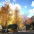 2012紅葉・秋の風景