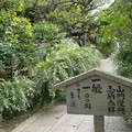 鎌倉散歩萩の寺20130930